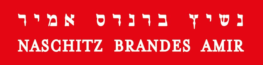 Naschitz Brandes Amir